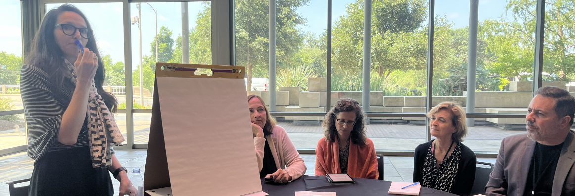 Library Support Network consulting conversation